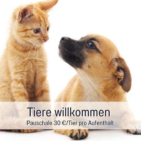 Rosmarin - Kuschelige Fewo - Romantik & Entspannung Im Whirlpool Auf Privater Terrasse, Ruhe & Hund Willkommen - By Ferienwohnenamsee - Uberlingen Bagian luar foto
